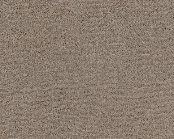 Celeste - 421 Bieber